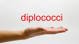 How to Pronounce diplococci  American English [upl. by Anawot]