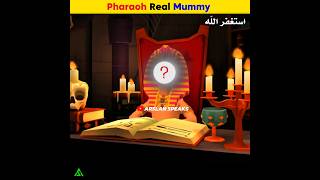 Pharoah Real Mummy  Arslan Speaks shortsfeed facts pharaoh mummy [upl. by Veron]