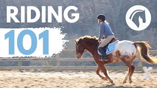 HOW TO RIDE A HORSE EASY BEGINNERS GUIDE [upl. by Paschasia351]