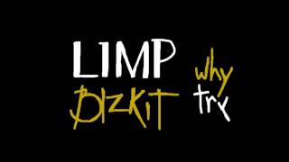 Limp Bizkit  Why Try   New Track from quotGold Cobraquot [upl. by Kcirneh]