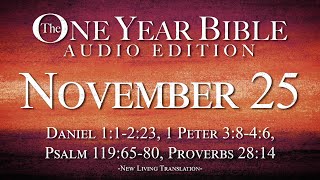 November 25  One Year Bible Audio Edition [upl. by Hizar445]