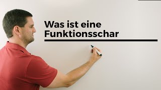 Was ist eine Funktionsschar Teil 1 Parameterfunktion Kurvenschar  Mathe by Daniel Jung [upl. by Howenstein]