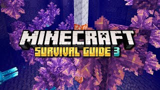 How to Farm an Amethyst Geode ▫ Minecraft Survival Guide S3 ▫ Tutorial Lets Play Ep35 [upl. by Tortosa]