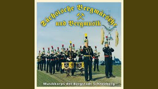 Schneeberger Jubiläumsmarsch [upl. by Ordisi398]