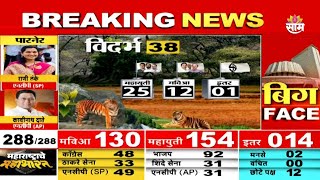 Assembly Election 2024 Results  विदर्भात महाराष्ट्राचा कौल कुणाला [upl. by Anegal]