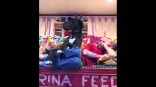 Man Eats Food Out of Jacuzzi   React Couch [upl. by Fabyola]