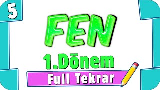 5 Sınıf Fen Bilimleri 1 Dönem Full Tekrar ♻ 2022 [upl. by Aiekat]