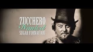 ZUCCHERO Live  Arena di Verona 2017  quotWanted Unaltra storiaquot [upl. by Mafala]