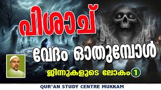 ചെകുത്താൻ വേദമോതുമ്പോൾ  ജിന്നുകളുടെ ലോകം part  1  Rahmathulla qasimi  06102024 [upl. by Ludeman]