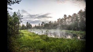 Arvo Pärt  Fratres [upl. by Far]