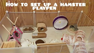 How to set up a playpen for a hamster 🐹 [upl. by Shaffert]