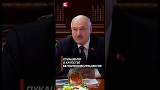 Лукашенко пока выше прыгнуть не можем – а надо лукашенко новости политика беларусь [upl. by Yssirhc]