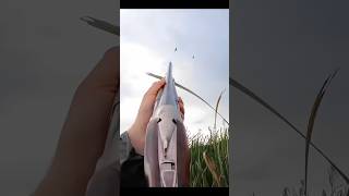 Solo geese hunting one shot limited hunting birdhunting youtubeshorts goosehunting [upl. by Neurath]