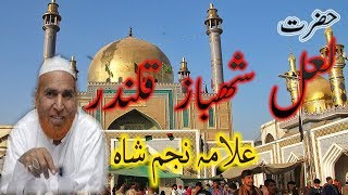 Najam Ali Shah Bayen  Lal Shahbaz Qalandar Full History  2018 New [upl. by Rothmuller]