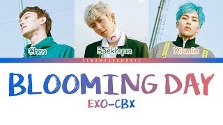 EXOCBX 첸백시  花요일 Blooming Day Color CodedHANROMENG [upl. by Pyszka]