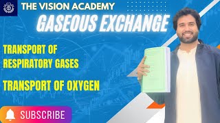 Chapter 13  Gaseous Exchange Transport of oxygen  11th Class Biology  Vision academy [upl. by Asereht620]