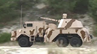 Thales  RAPIDFire 40mm MultiRole GroundBased Gun System 720p [upl. by Teiv930]