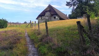 Gottes Gerechtigkeit suchen wir sie oder bauen wir unsere Eigene [upl. by Lepper]