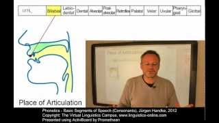 PHO106  Basic Segments of Speech Consonants [upl. by Messere599]