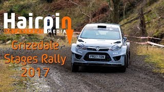 Grizedale Stages Rally 2017 HD [upl. by Edobalo]