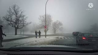 Foggy Mont Royal  Warm new years day  Montreal  Outremont  Canada [upl. by Ulita]