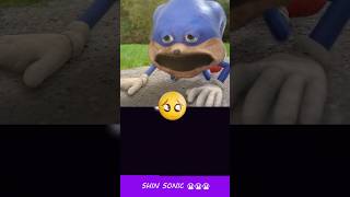 Poor Shin Sonic 😭😭😭😭😭  HorrorSkunx  Bouncing Square sonic [upl. by Dugan529]