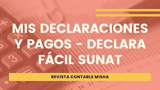 Mis Declaraciones y Pagos  Declara Fácil SUNAT [upl. by Quinta]