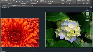 Comment insérer une image dans autocad 2 [upl. by Ekaj376]