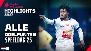 ALLE DOELPUNTEN ⚽🔥 Jupiler Pro League Highlights GD25 [upl. by Nylidnam]