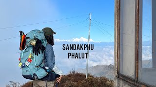 trek to sandakphu phalut II [upl. by Kcirrem]