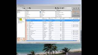 How to Make a Playlist on Your iPod with CopyTrans Manager [upl. by Einnaf853]