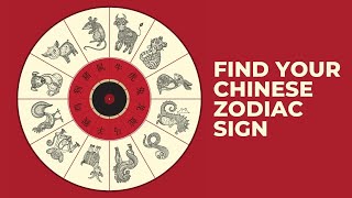 The 12 Chinese Zodiac Signs  Which Chinese Animal Sign Are You amp What It Reveals About You [upl. by Caiaphas]