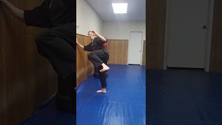 Hook kick drill foryou viralvideos kenpo karate shorts [upl. by Einaeg]