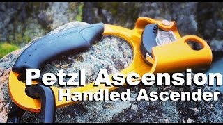 Petzl Ascension Handled Ascender [upl. by Grath]