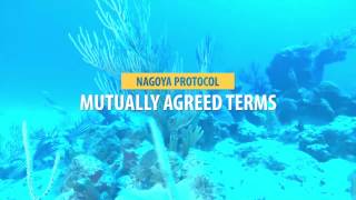 THE NAGOYA PROTOCOL Wapishana language [upl. by Esirehc140]