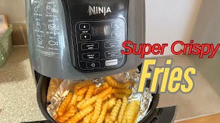 Super Crispy French Fries using Ninja Air Fryer [upl. by Finegan440]