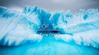 SOUNDS OF THE ARCTIC  Relaxing Winter Music amp Arctic Sounds  Background Music Sleep Music ✦ 2 [upl. by Aerdnuahs]