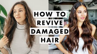 How to Fix Damaged Hair [upl. by Theresa]