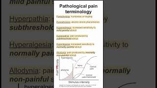 Pathological pain terminology [upl. by Harpole]