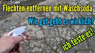 Flechten entfernen auf Pflastersteinen mit Waschsoda Wie gut kann man damit Flechten wegbekommen [upl. by Enyawal]