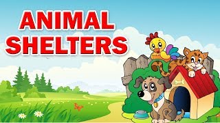 Class 3  Animal Shelter  EVS  English Medium  Maharashtra State Board  Home Revise [upl. by Moina46]