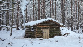 Dugout shelter 3 months of building in the forest start to finish no talking ASMR [upl. by Kentigera]