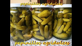 pepinos en vinagre caseros [upl. by Publius275]