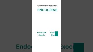 Difference between Endocrine and Exocrine Gland medical glands nursing education [upl. by Enitsirc297]