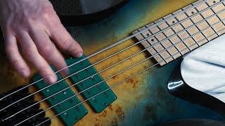 Synapsa  Bleed Inside bass playthrough [upl. by Redwine590]