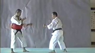 Shorinji Kempo Waza  UCHI AGE GERI [upl. by Nay]