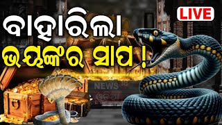 Ratna Bhandar Live ଖୋଲିଲା ରତ୍ନଭଣ୍ଡାର  Puri Srimandir Ratna Bhandar  Jagannath Temple  Odia News [upl. by Teresa107]