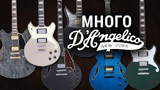 Новинки от DAngelico – Excel DC Premier Bedford Bob Weir Deluxe Brighton Fabrizio Sotti Deluxe [upl. by Yuht]