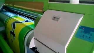 EPSON DX7 Print head ecosolvent flex printing machine [upl. by Amary]