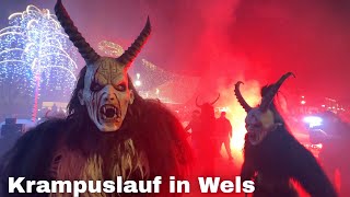 Krampuslauf in Wels 2023 🇦🇹 Wels Austria [upl. by Naeerb]